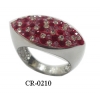 CR-0210